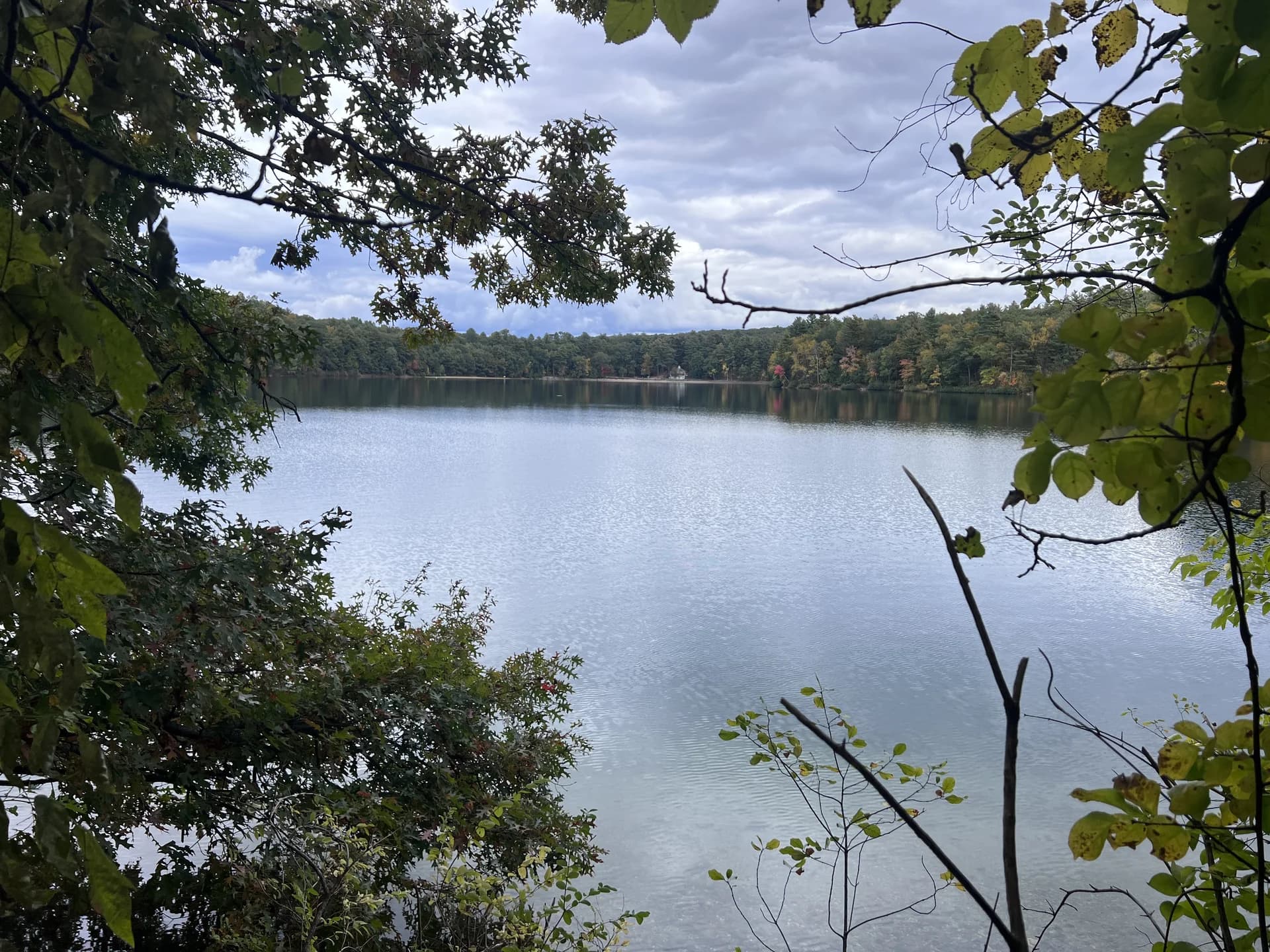 March 2026 Window: Buy Concord Luxury While High-End Prices Recalibrate