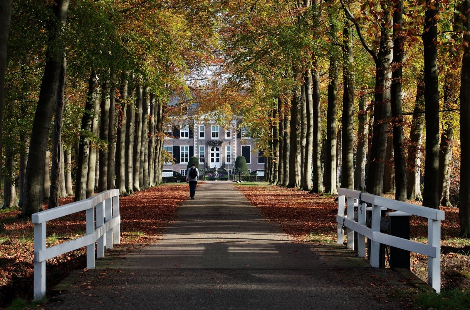 Homes for sale in Bedford, MA